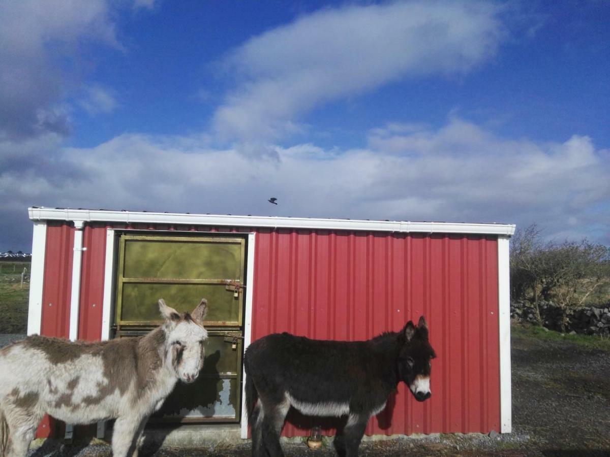 The Wild Atlantic Way Barn Villa Oranmore Luaran gambar